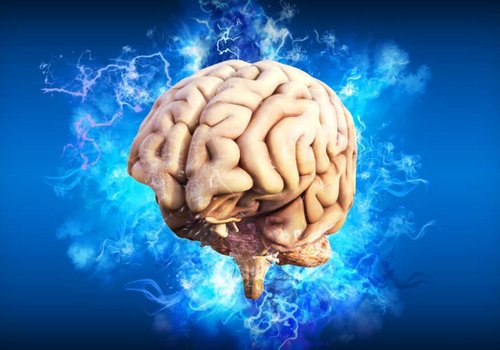 Согласно исследованию, наш мозг — это постоянная машина предсказаний